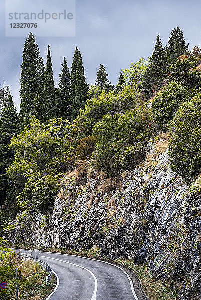 Ein geschwungener Weg entlang einer Felswand und eine Vielzahl von Bäumen  die darauf wachsen; Perast  Gemeinde Kotor  Montenegro