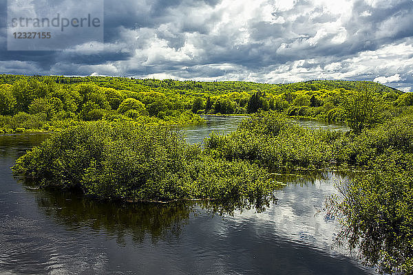 Überschwemmter Abschnitt des St. Mary's River im Frühjahr; Glenelg  Nova Scotia  Kanada