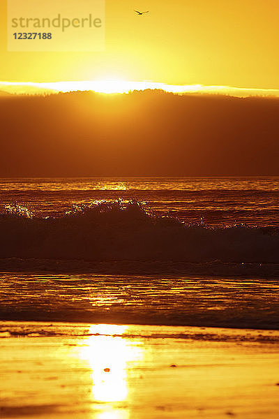 Dramatisches goldenes Sonnenlicht bei Sonnenuntergang spiegelt sich auf dem nassen Strand  Point Reyes National Seashore; Inverness  Kalifornien  Vereinigte Staaten von Amerika