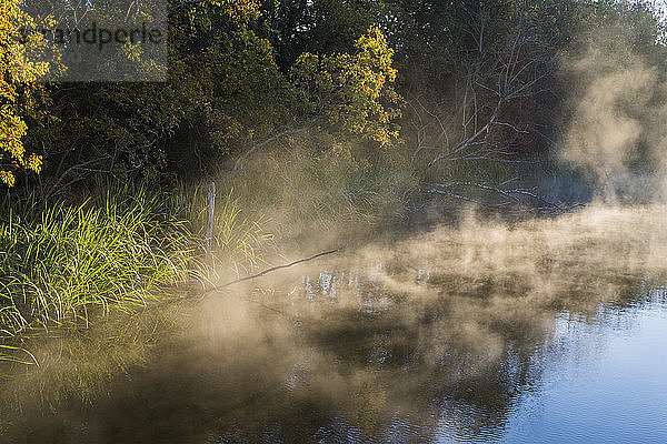 Nebel steigt aus dem Wasser eines Sees im Sequoyah National Wildlife Refuge auf; Vian  Oklahoma  Vereinigte Staaten von Amerika