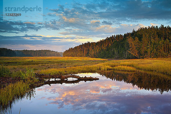 Küsten-Salzwiesen am Sand River bei Sonnenuntergang im Herbst  Chignecto Bay  Raven Head Wilderness; Nova Scotia  Kanada