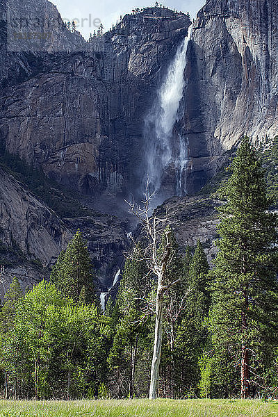 Upper und Lower Yosemite Falls  Yosemite National Park; Kalifornien  Vereinigte Staaten von Amerika