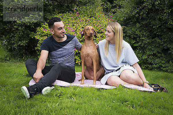 Junges Paar sitzt mit seinem Vizsla-Hund auf einer Decke im Gras; Reigate  Surrey  England