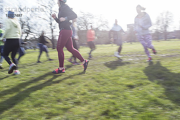 Runners running in circle in sunny park