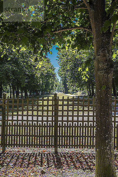 Frankreich  Ile de France  Yvelines  Holzgitter im Park des Chateau de Rambouillet