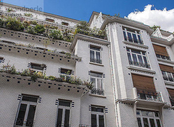 Frankreich  Paris  6. Arrondissement  Gebäude La Sprtive  Art Nouveau