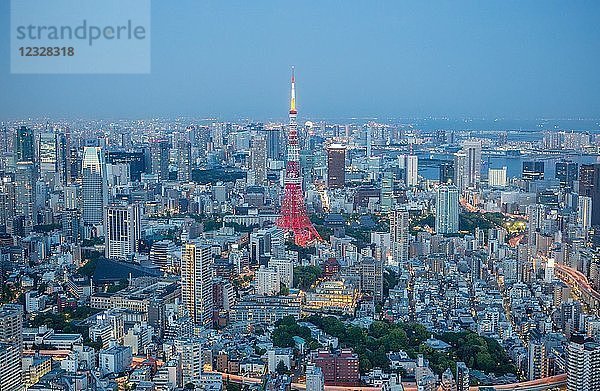 Japan  Tokio City  Minato Ku District  Tokio Tower