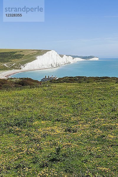 England  East Sussex  South Downs National Park  Die Seven Sisters Cliffs und die Skyline vom Seaford Head aus gesehen