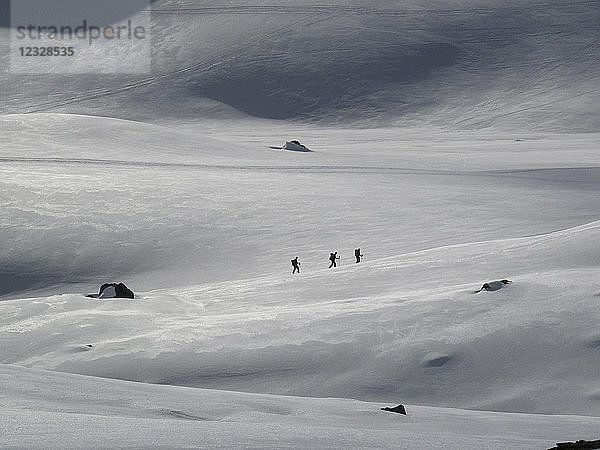 ÖSTERREICH  Tirol  Silvretta-Gebirge  3 Langläufer erscheinen als Silhouetten in der Weite einer Schneelandschaft