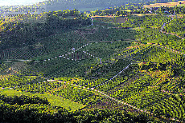 Frankreich  Bourgogne Franche Comte  Jura (39)  Chateau-Chalon (Schönstes Dorf Frankreichs)  Weinanbaugebiet Chateau-Chalon (AOC)