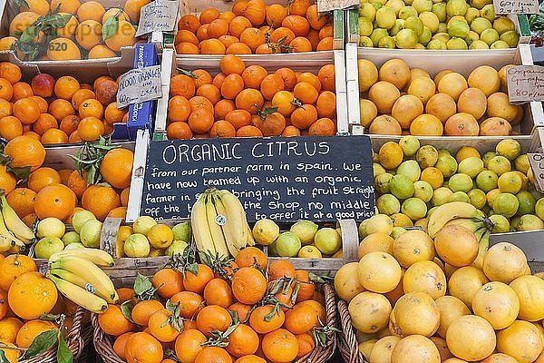England  London  Southwark  Borough Market  Auslage von Bio-Zitrusfrüchten
