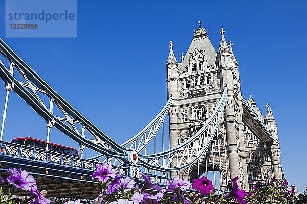England  London  Tower Bridge und Sommerblumen