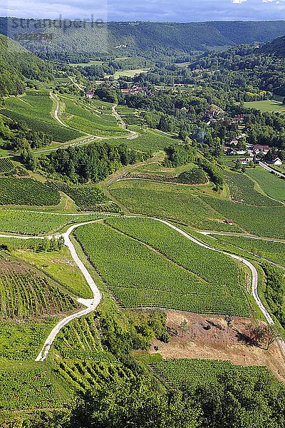Frankreich  Bourgogne Franche Comte  Jura (39)  Chateau Chalon (Schönstes Dorf Frankreichs)  Weinanbaugebiet Chateau-Chalon (AOC)