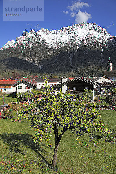 Deutschland  Bayern  Alpen  Mittenwald  Berglandschaft