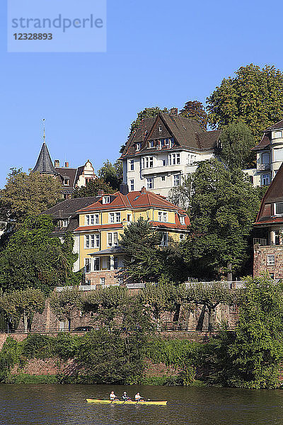 Deutschland  Baden-Württemberg  Heidelberg  Neckar  Ruderboot  Häuser