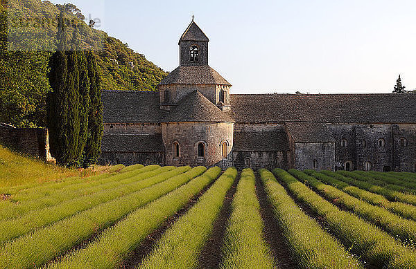 Frankreich  Provence Alpes Cote d'Azur  Departement Vaucluse (84)  Gordes (Die schönsten Dörfer Frankreichs)  Abtei Senanque