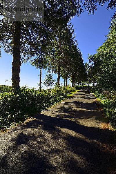 Europa  Frankreich  Straße bei Castelnau-Pegayrolles im Aveyron.