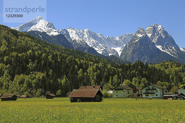 Deutschland  Bayern  Alpen  Garmisch-Partenkirchen  Zugspitze