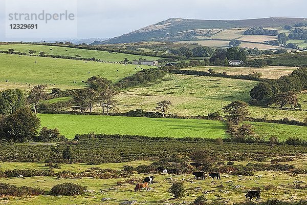 England  Devon  Dartmoor  Hound Tor  Blick auf das Dartmoor von Hound Tor