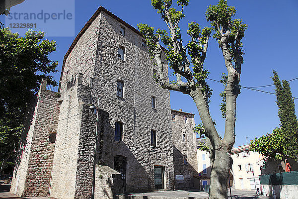 Frankreich  Provence Alpes Cote d'Azur  Departement Bouches du Rhone (13)  Trets (Region Aix en Provence)  Burg der Rempeleien