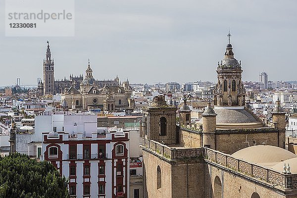 Spanien  Region Andalusien  Sevilla Stadt  Encarnacion Platz  Metropol Parasol bekannt als ''Las Setas''