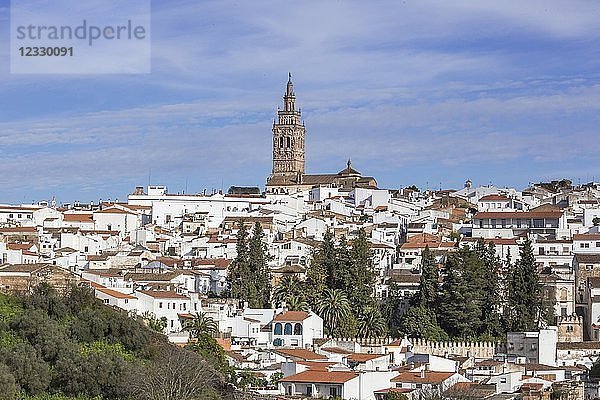 Spanien  Region Extremadura  Stadt Jerez de los Caballeros  Kirche San Miguel belry