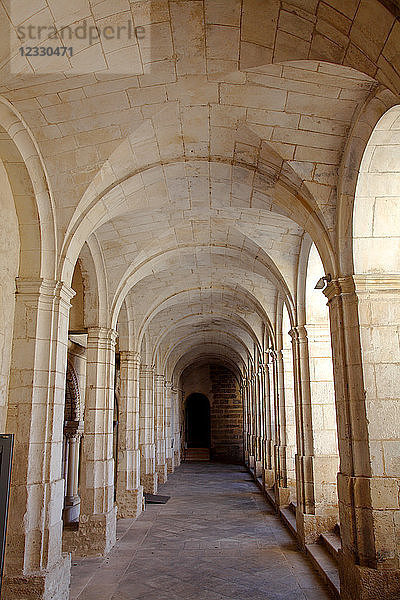 Frankreich  Region Bourgogne Franche Comte (Burgund)  Departement Yonne  Auxerre  Abtei Saint Germain  der Kreuzgang
