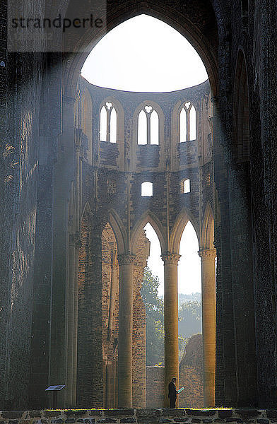 Frankreich  Normandie  Departement Manche (50)  Abtei Hambye  abbatiale Kirche