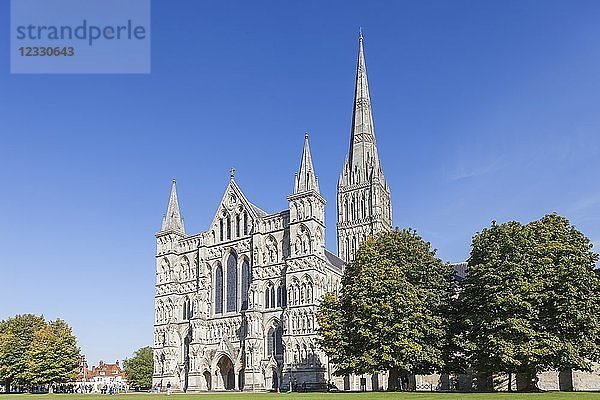 England  Wiltshire  Salisbury  Kathedrale von Salisbury