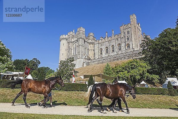 England West Sussex Arundel Arundel Castle