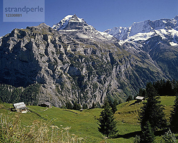 Schweiz  Alpen  Jungfraumassiv  gesehen von Mürren