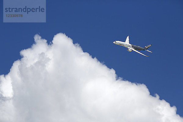 Seine und Marne. AIRBUS A350 in der Luft.