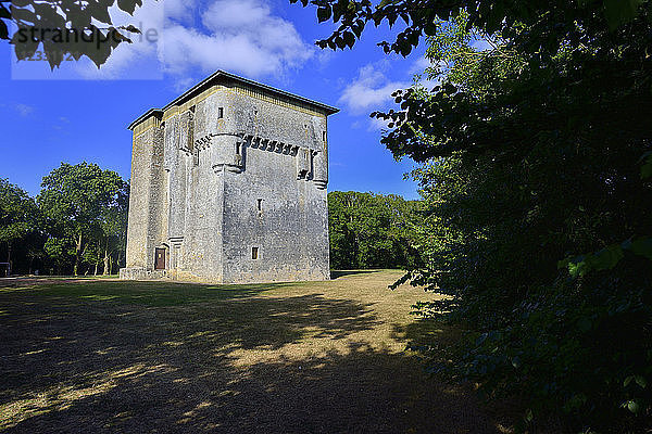 Europa  Frankreich  die Vendee Moricq-Turm