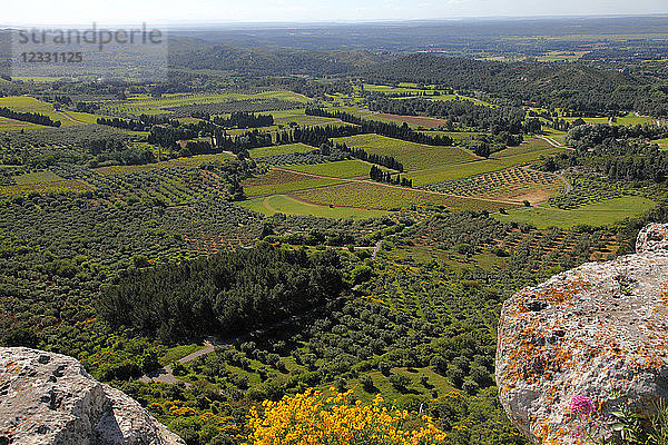 Frankreich  Provence Alpes Cote d'Azur  Bouches du Rhone (13)  Region Alpilles  Les Baux de Provence  Tal des Baux