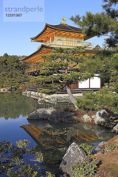Japan  Kyoto  Kinkaku-ji-Tempel  Goldener Pavillon