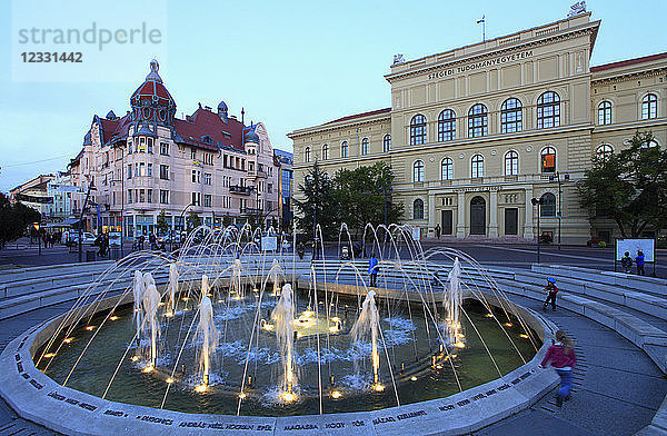 Ungarn  Szeged  Universität  Dugonics-Platz  Springbrunnen
