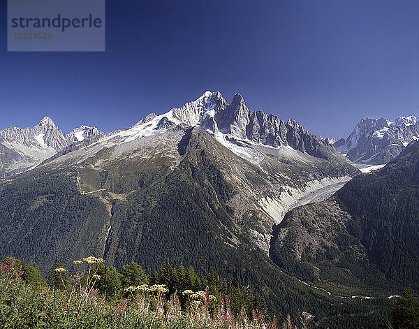 Frankreich  Alpen  Savoie  Chamonix  Aiguille Verte  Aiguille du Dru