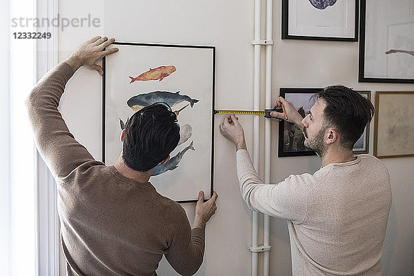 Rear view of gay couple hanging painting on wall at home