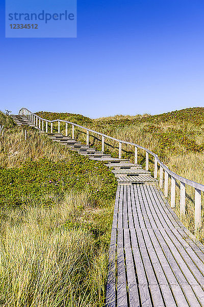 Germany  Schleswig-Holstein  Sylt  wooden walkway through dunes