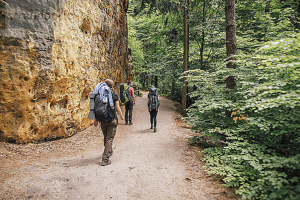 Germany  Saxony  Elbe Sandstone Mountains  friends on a hiking trip