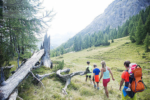 Family hiking in alpine meadow