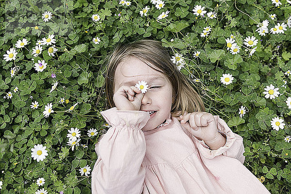 Portrait of little girl lying on flower meadow