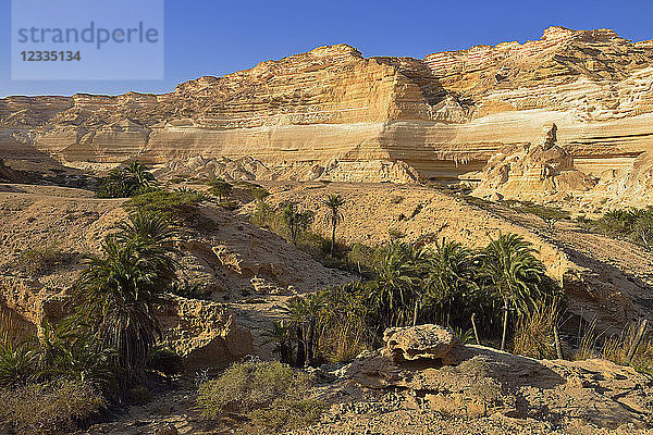 Oman  Dhofar  limestone canyon of Wadi Shuwaymiyah