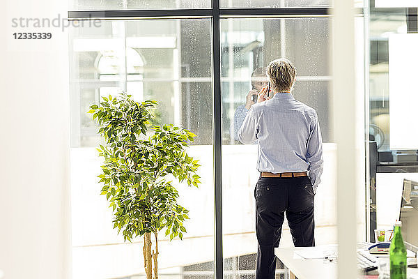 Businesman standing by windoy  talking on the phone  rear view
