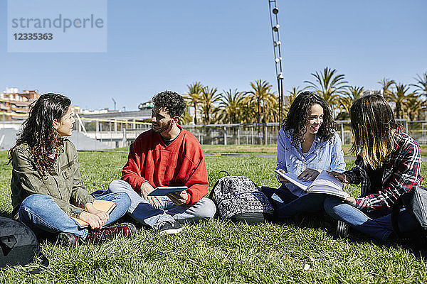 Four students sitting in park learning together