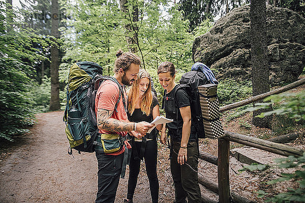 Friends on a hiking trip reading map