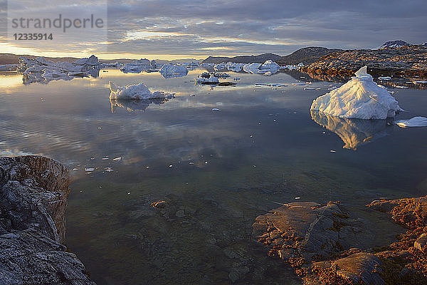 Greenland  East Greenland  view from Sarpaq over the icebergs of Sermilik fjord in the evening