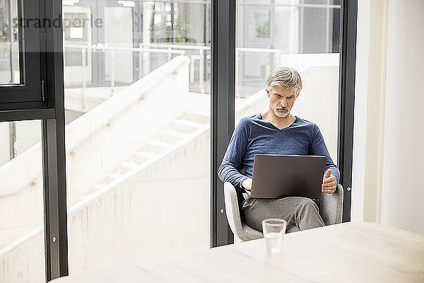 Mature man sitting in his office  using laptop