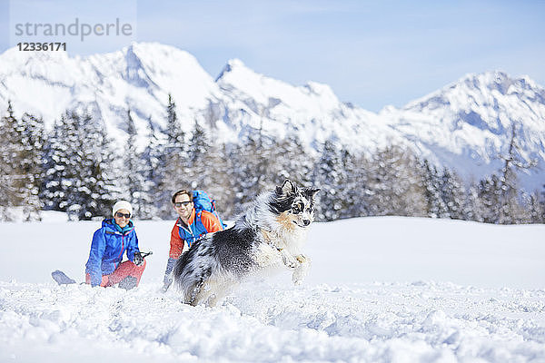 Austria  Tyrol  snowshoe hikers and dog  jumping in the snow