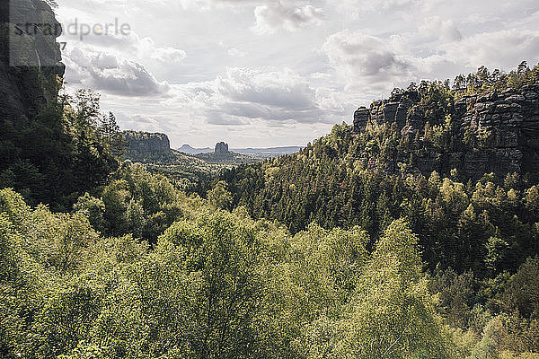 Germany  Saxony  Saxon Switzerland  Elbe Sandstone Mountains